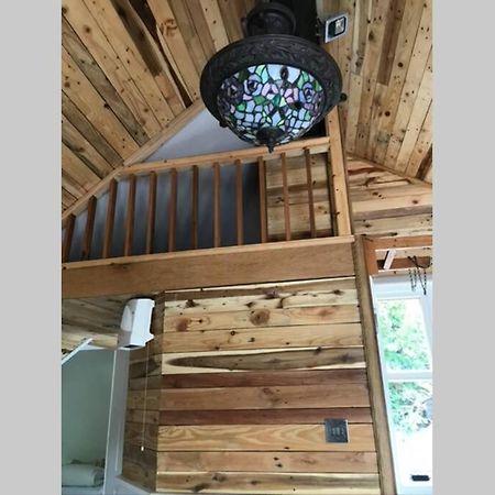 The Shed . A Cosy, Peaceful, 96% Recycled, Chalet. Swansea Eksteriør bilde