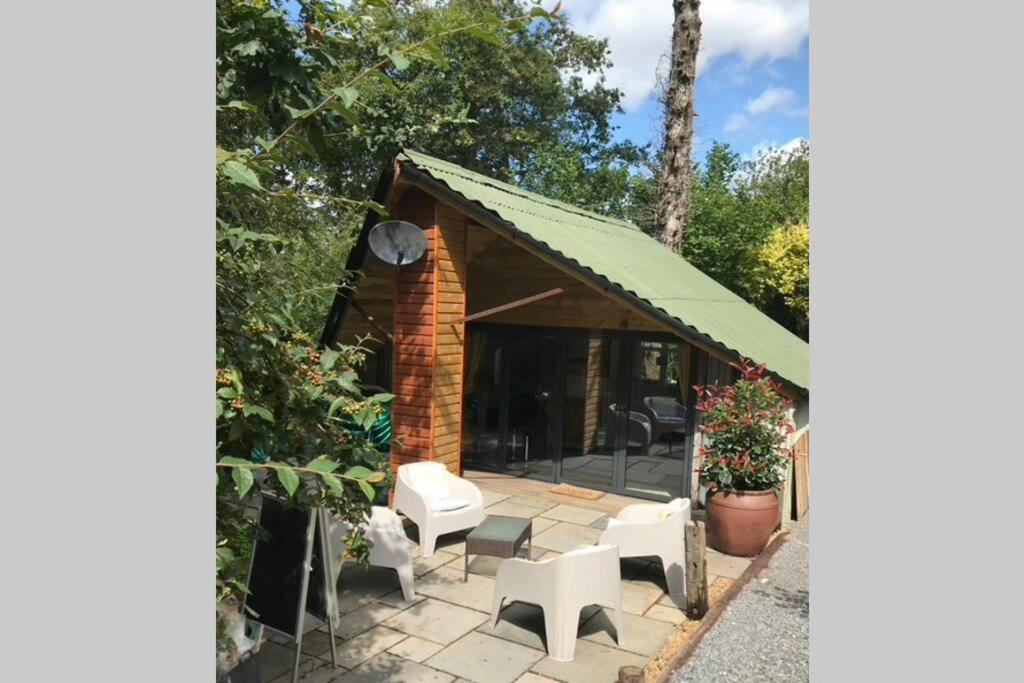 The Shed . A Cosy, Peaceful, 96% Recycled, Chalet. Swansea Eksteriør bilde