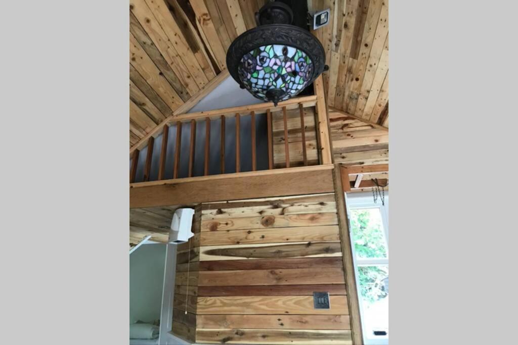 The Shed . A Cosy, Peaceful, 96% Recycled, Chalet. Swansea Eksteriør bilde
