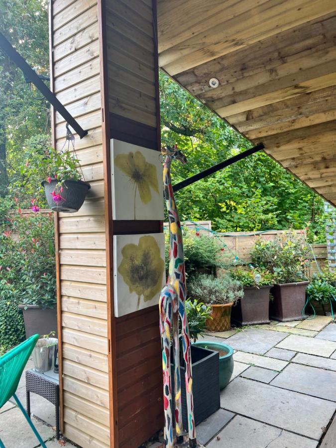 The Shed . A Cosy, Peaceful, 96% Recycled, Chalet. Swansea Eksteriør bilde