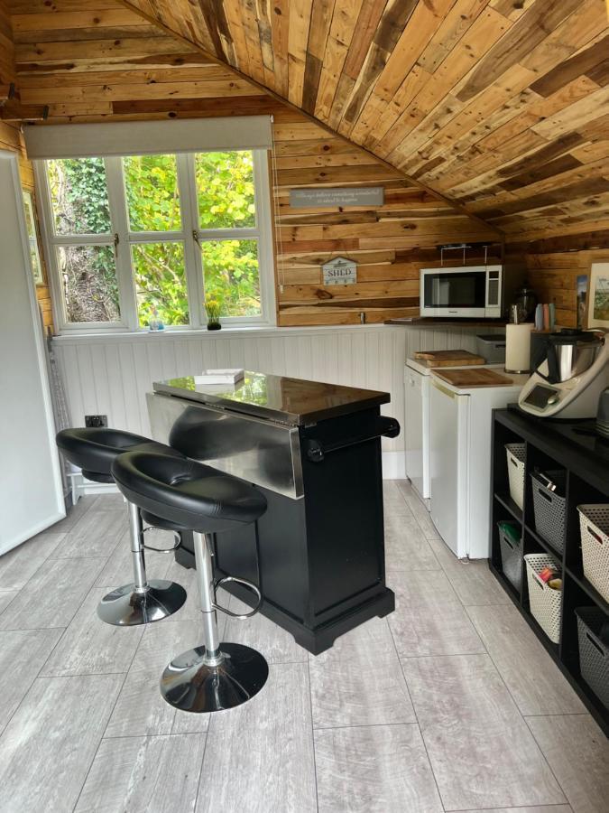 The Shed . A Cosy, Peaceful, 96% Recycled, Chalet. Swansea Eksteriør bilde