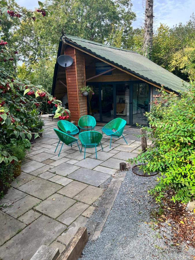 The Shed . A Cosy, Peaceful, 96% Recycled, Chalet. Swansea Eksteriør bilde
